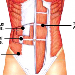 core